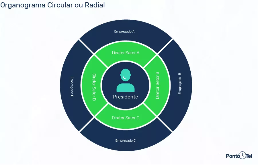 imagem de um organograma circular ou radial