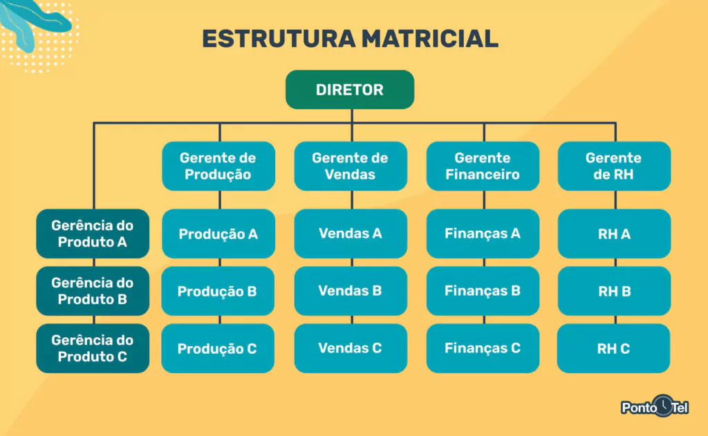 imagem da organização de uma estrutura matricial