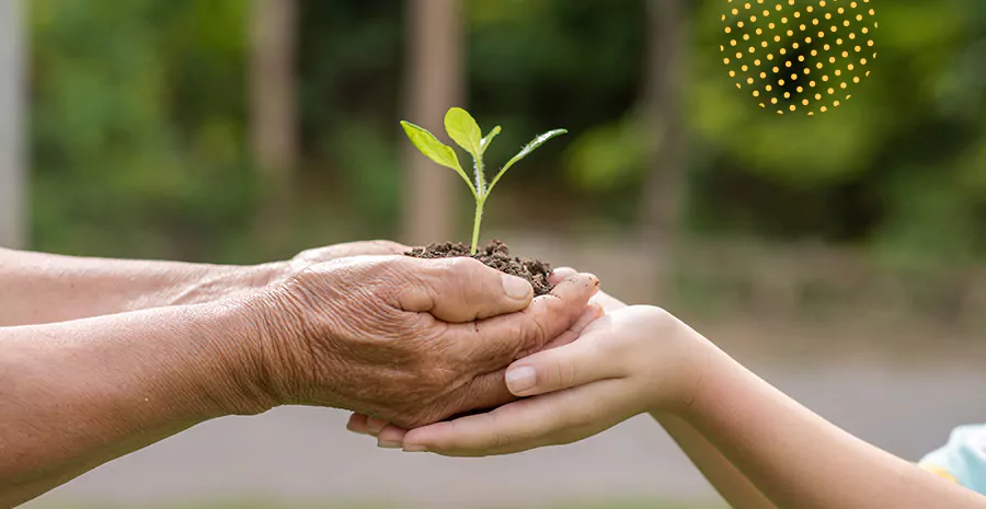 imagem de duas pessoas segurando um punhado de terra com uma planta