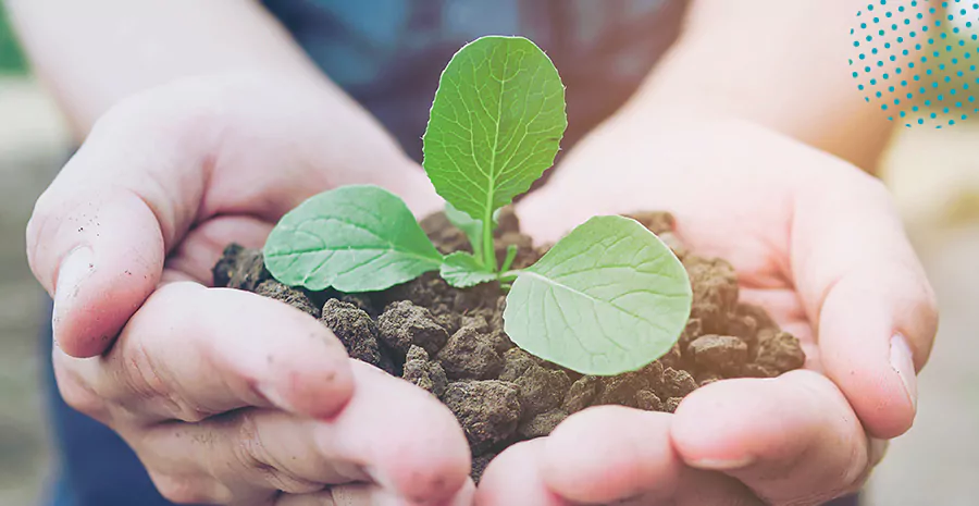 imagem de uma pessoa segurando terra com uma planta no centro