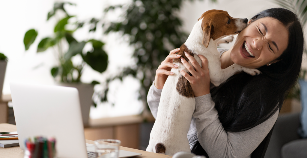 Empresa pet friendly: descubra os benefícios da companhia de animais de  estimação no trabalho - Onze